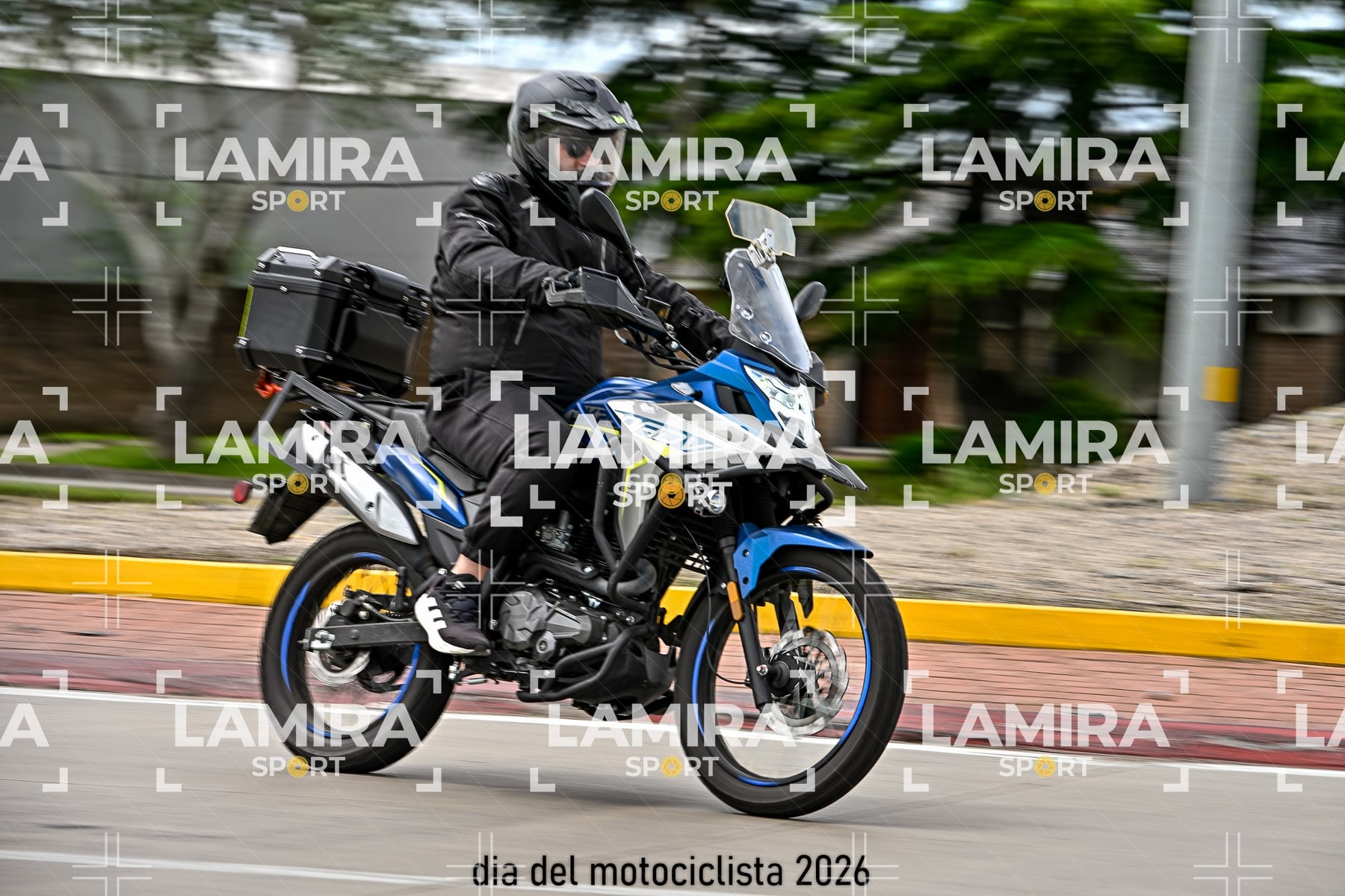 rotonda disa — BCD5306
