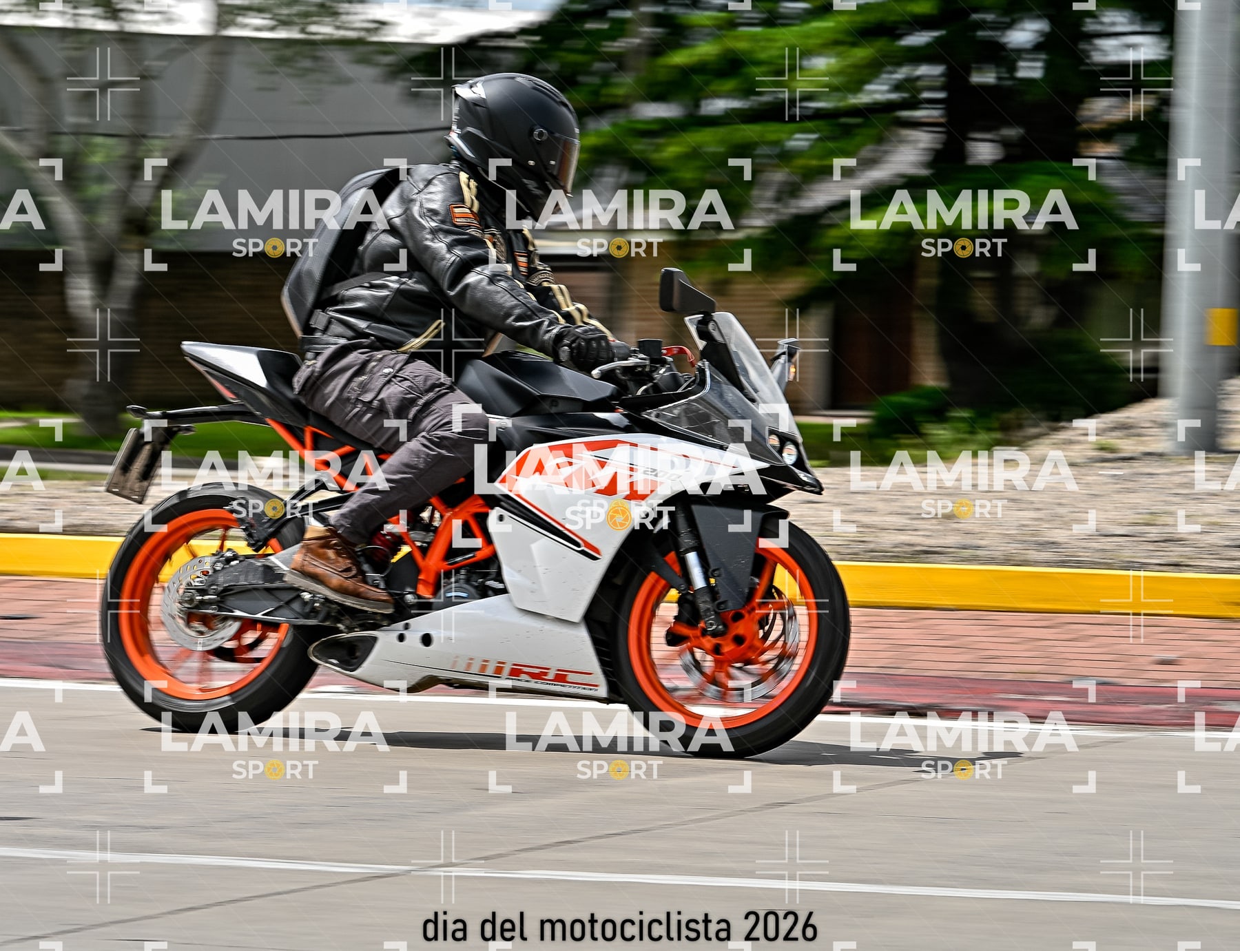 rotonda disa — BCD5658
