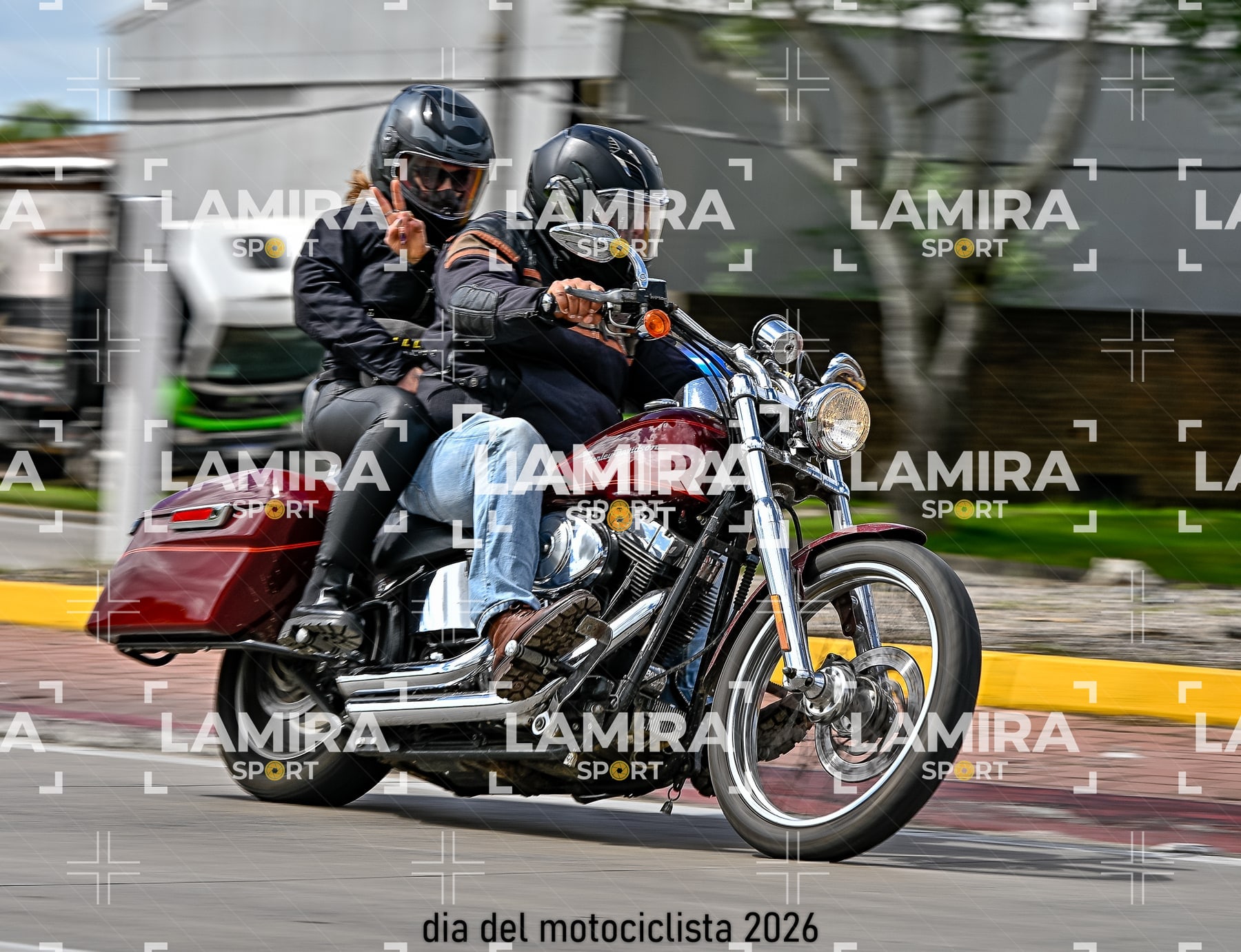 rotonda disa — BCD7014