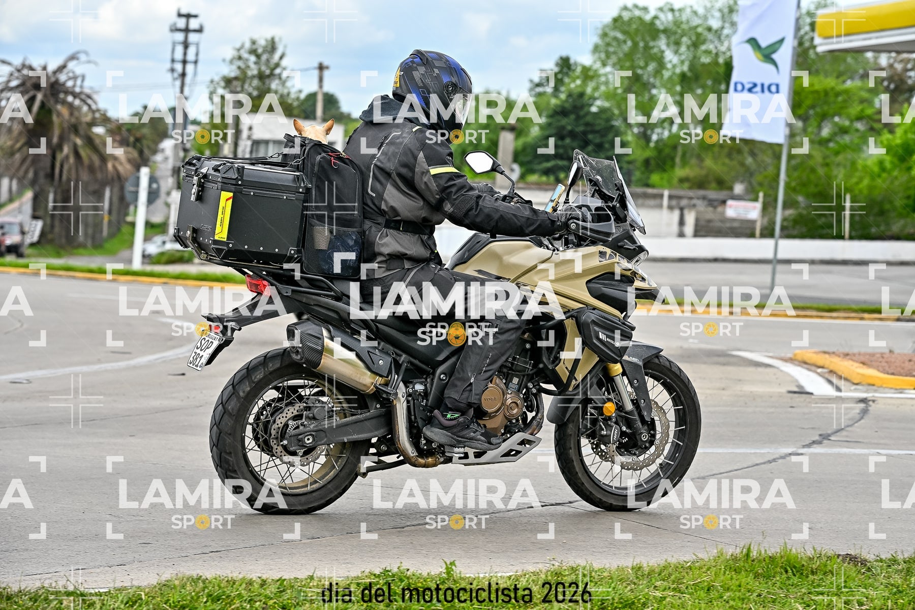 rotonda disa — BCD4995