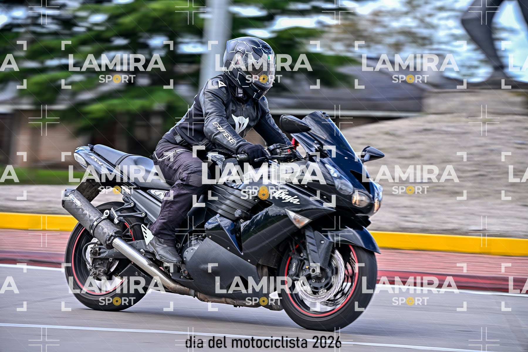rotonda disa — BCD7153