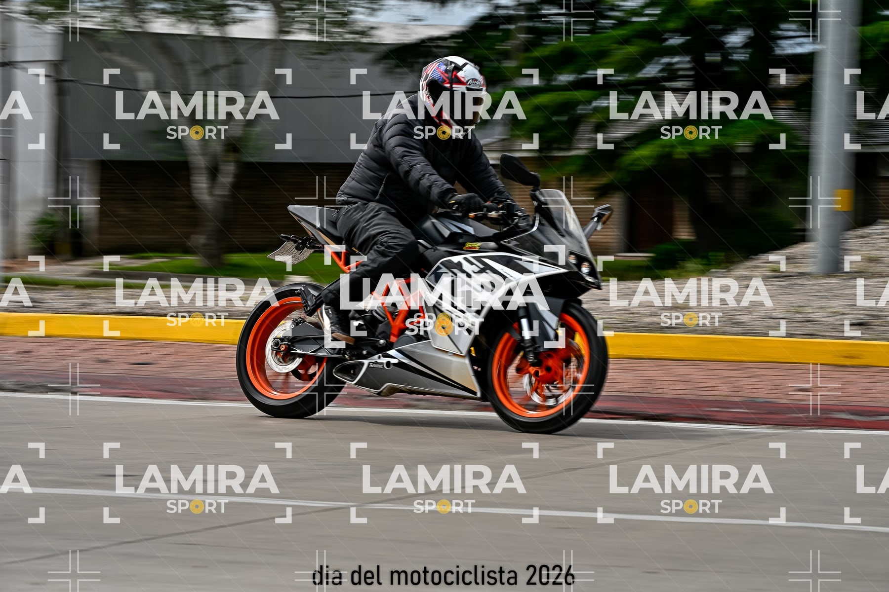 rotonda disa — BCD6360