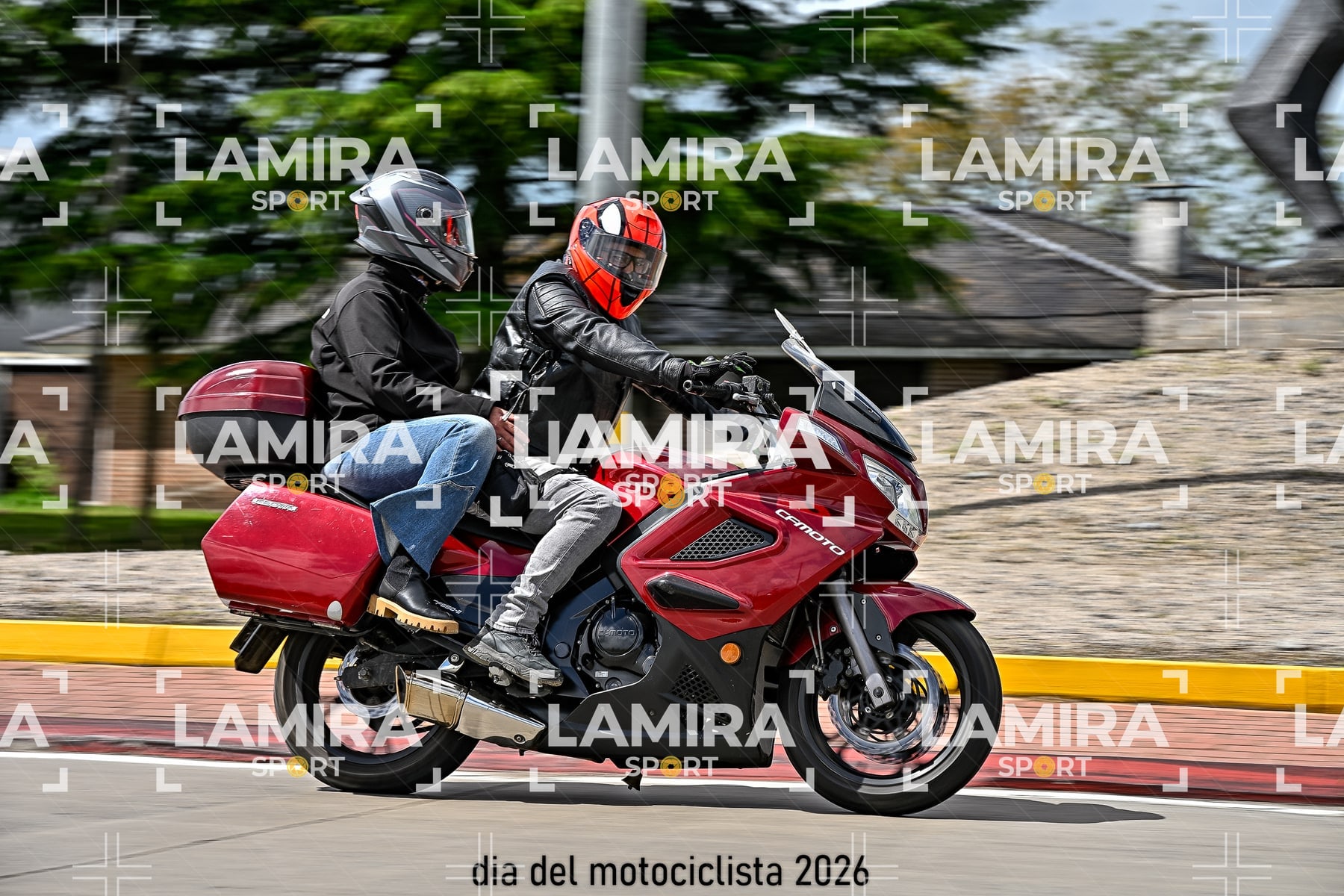 rotonda disa — BCD6736