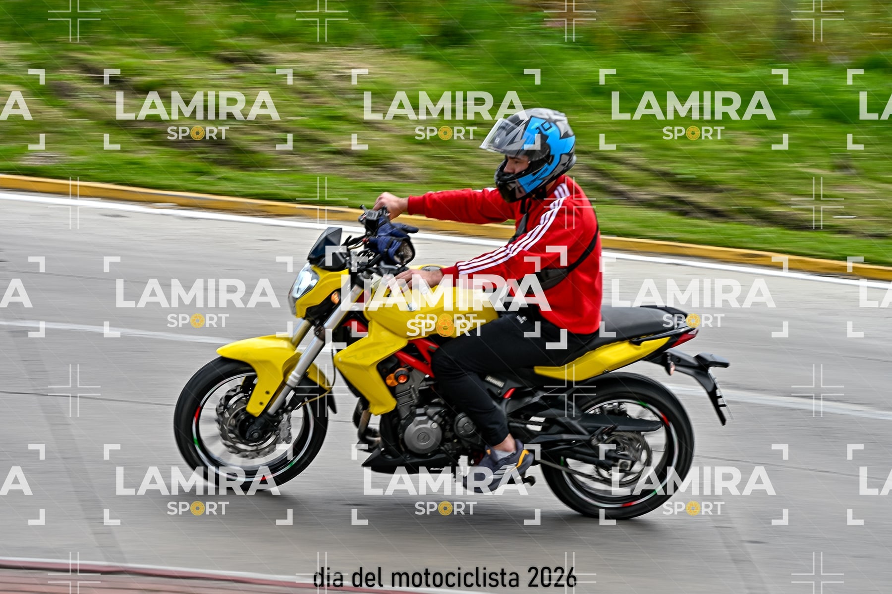 rotonda disa — BCD6226