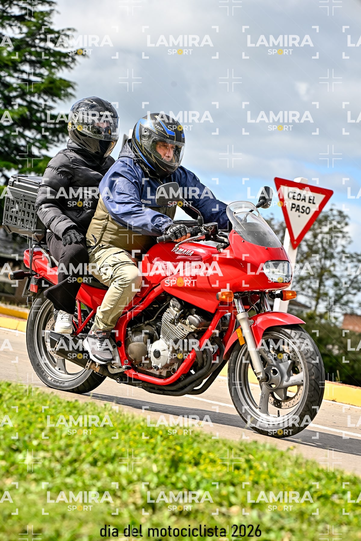 rotonda disa — BCD8079