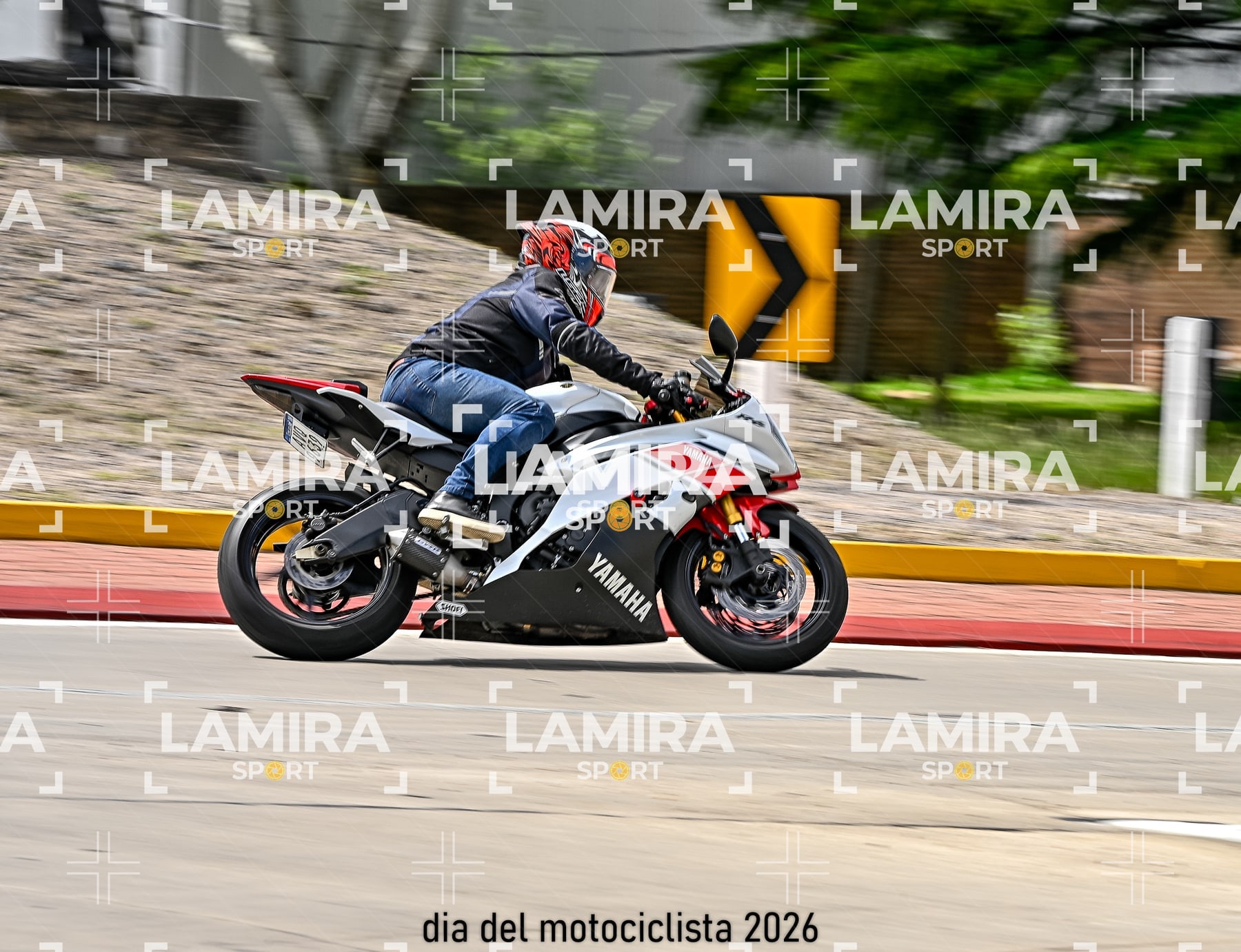 rotonda disa — BCD6312