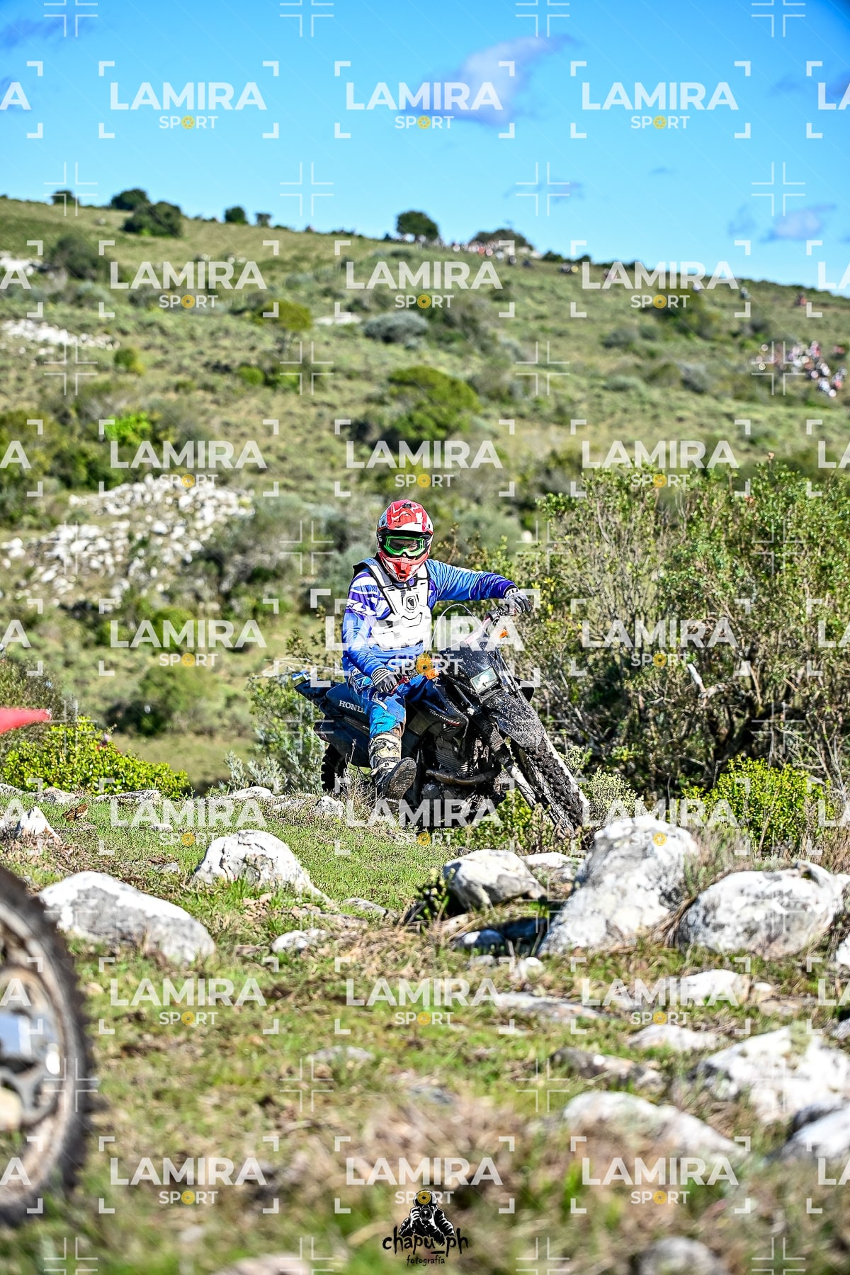 yacatrillo — BCD7398