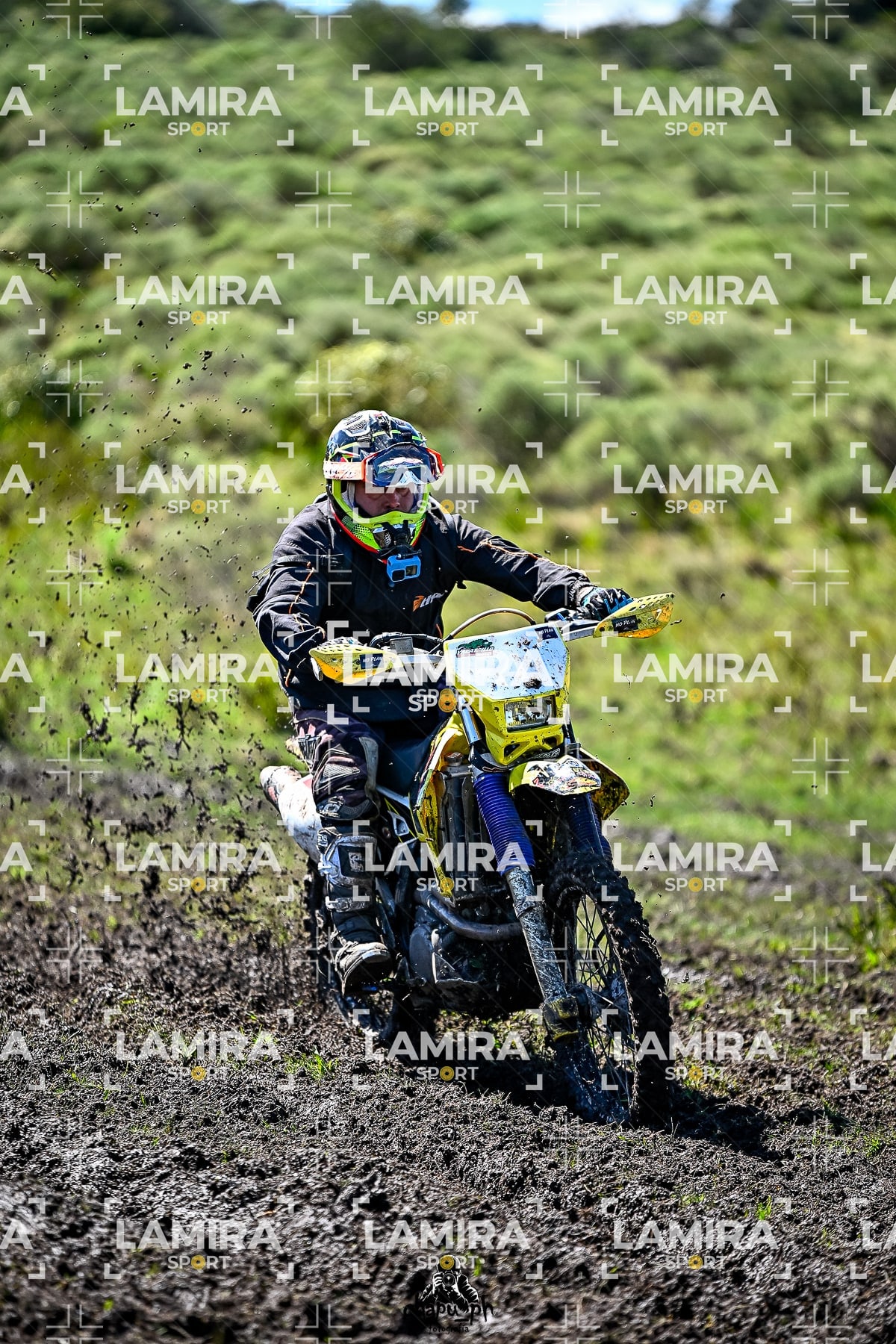 yacatrillo — BCD8521