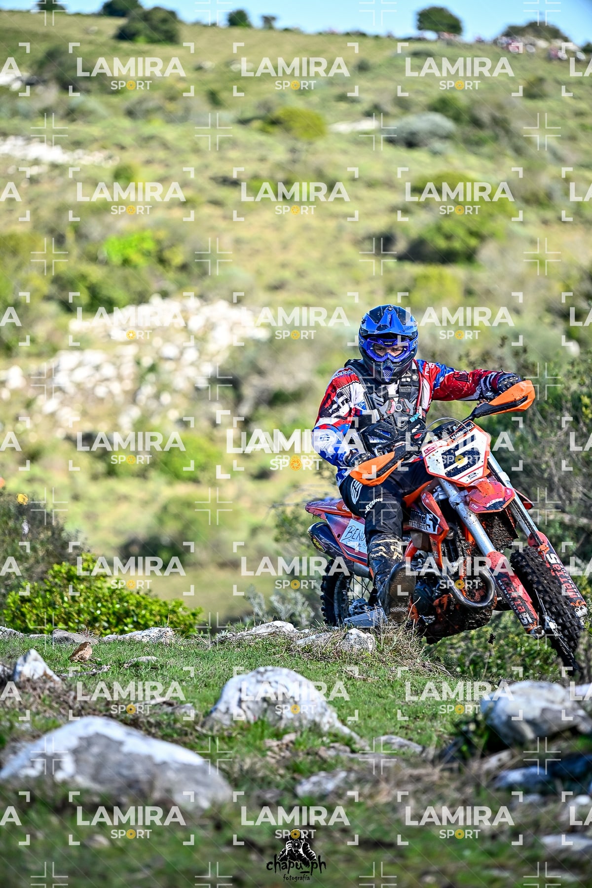 yacatrillo — BCD7354