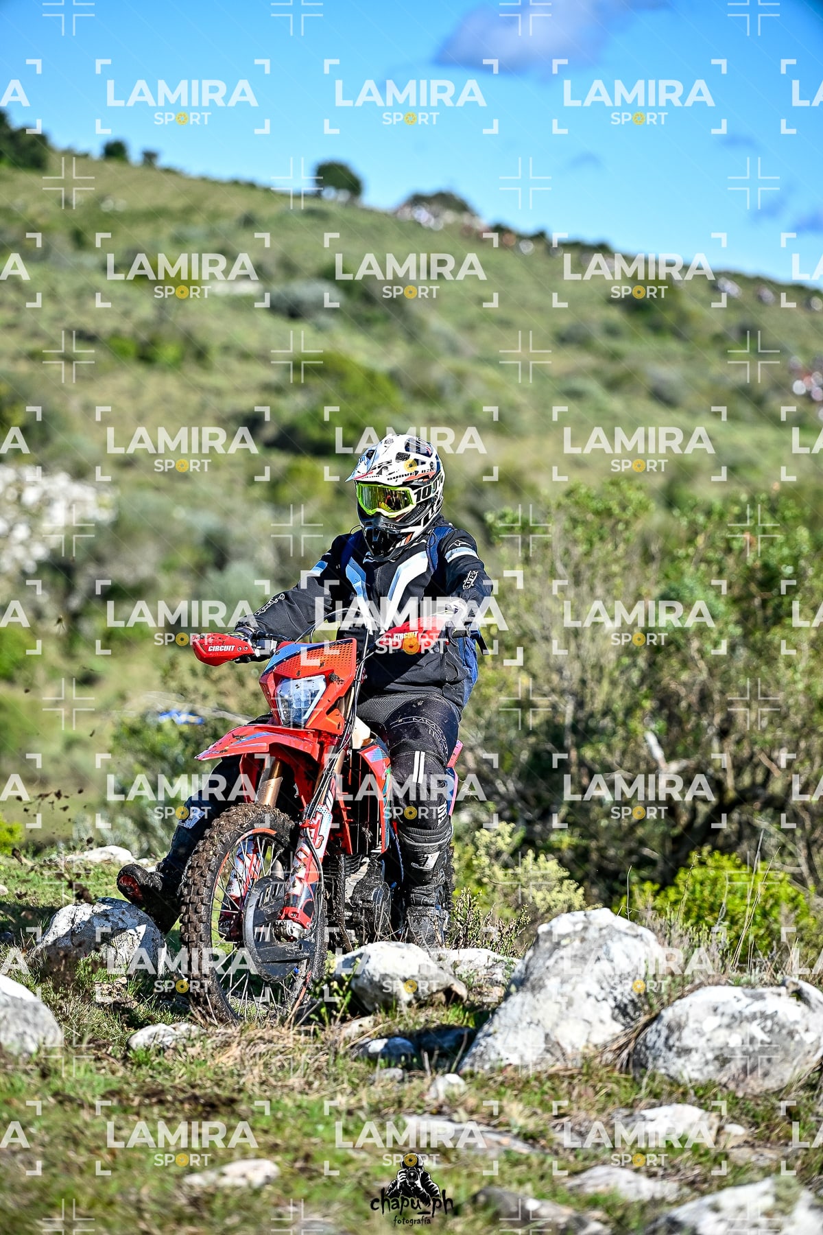 yacatrillo — BCD7463