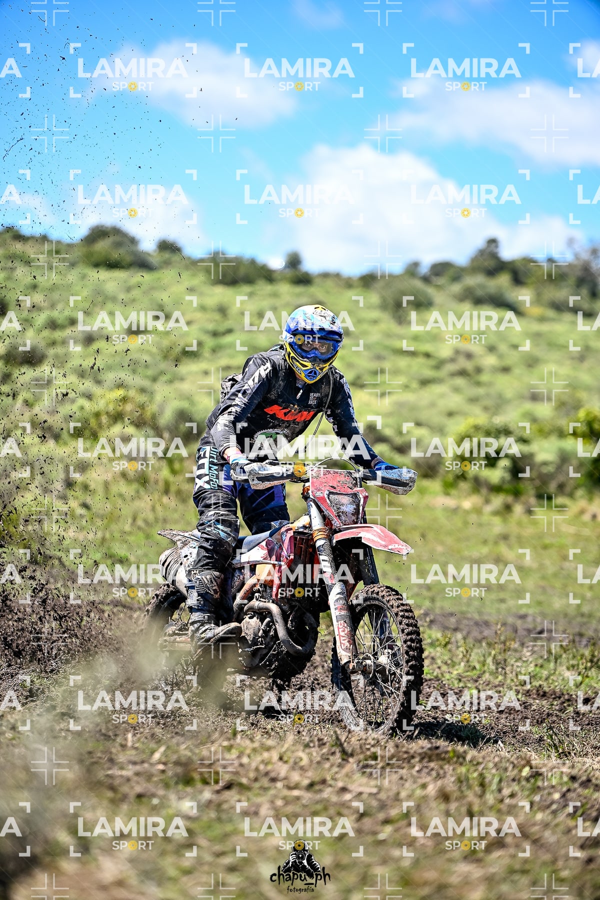 yacatrillo — BCD9076
