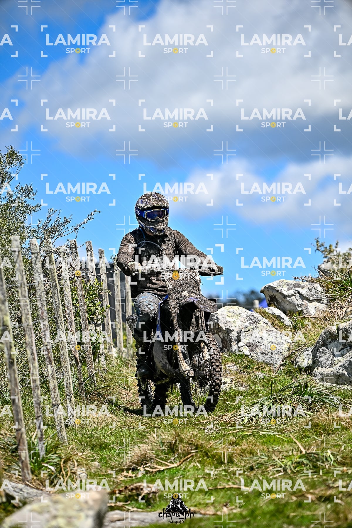 yacatrillo — BCD9852