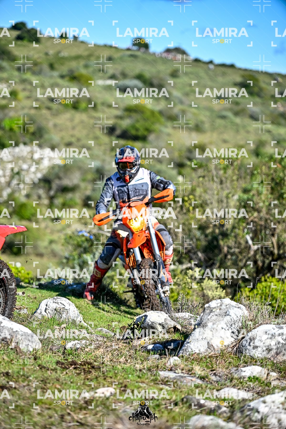 yacatrillo — BCD7414