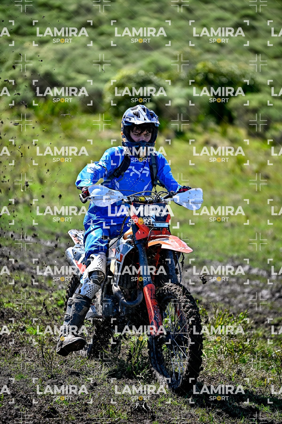 yacatrillo — BCD8506