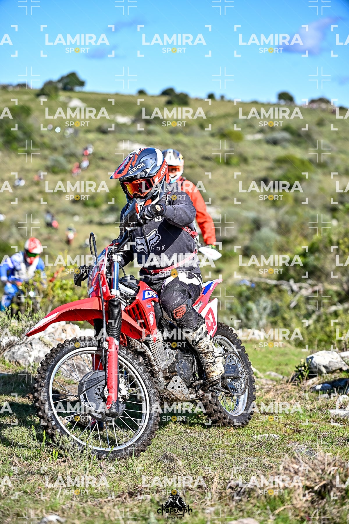 yacatrillo — BCD7390