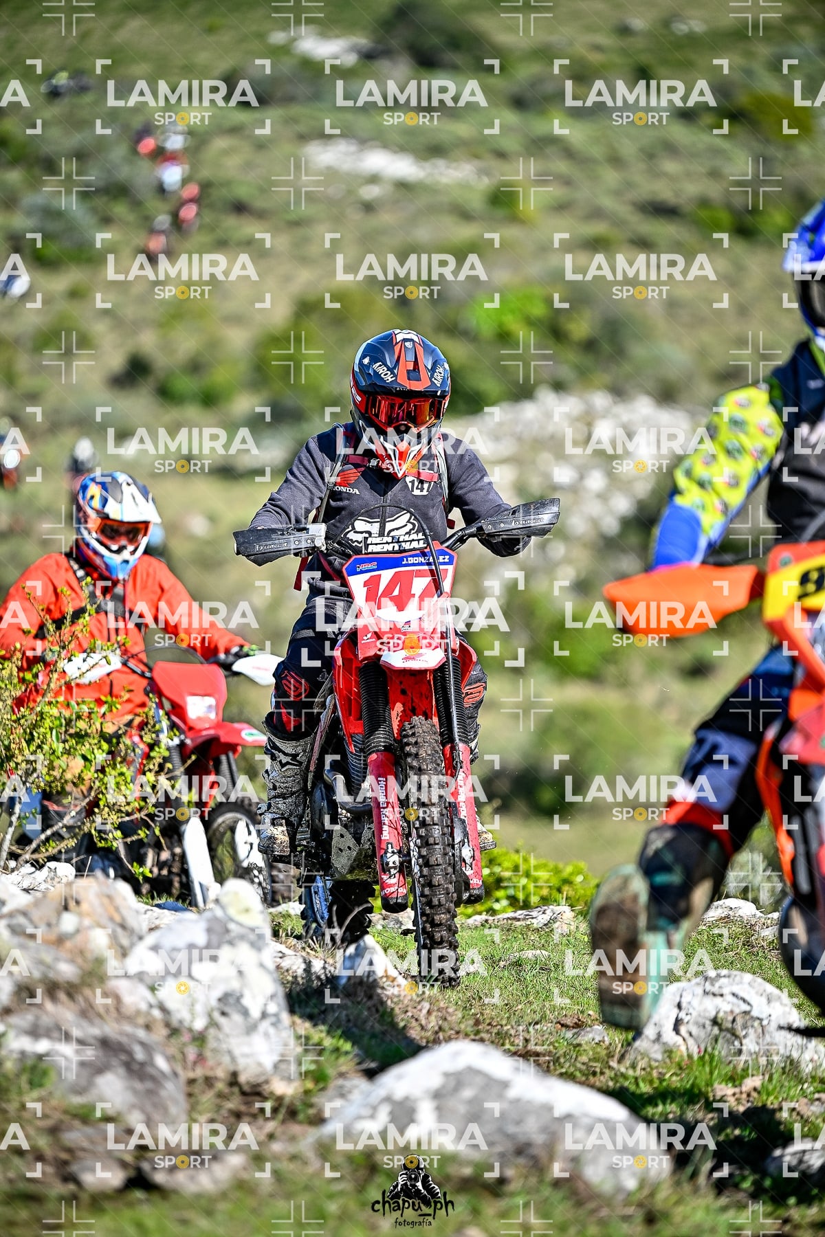 yacatrillo — BCD7381
