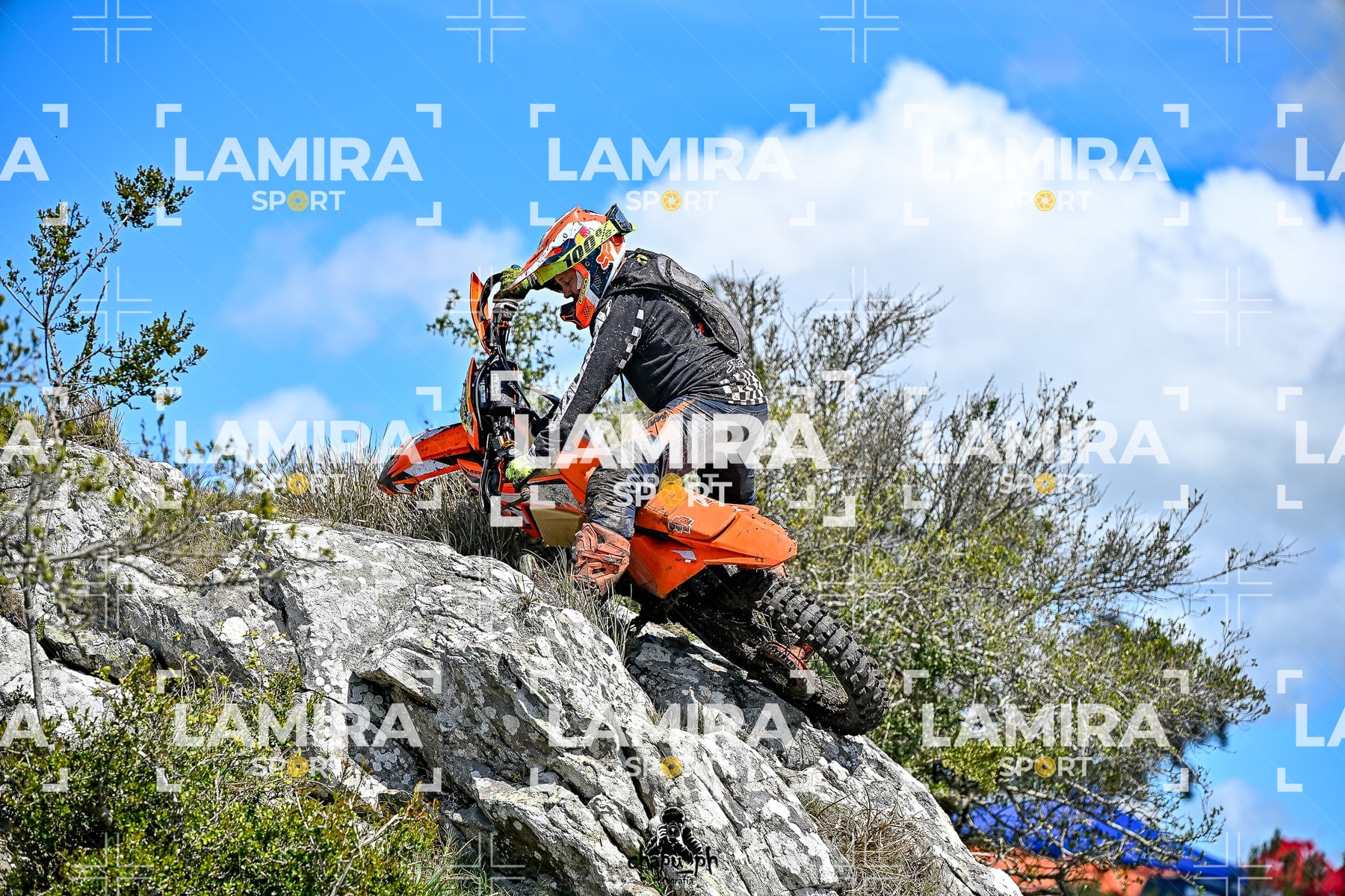 yacatrillo — BCD9909
