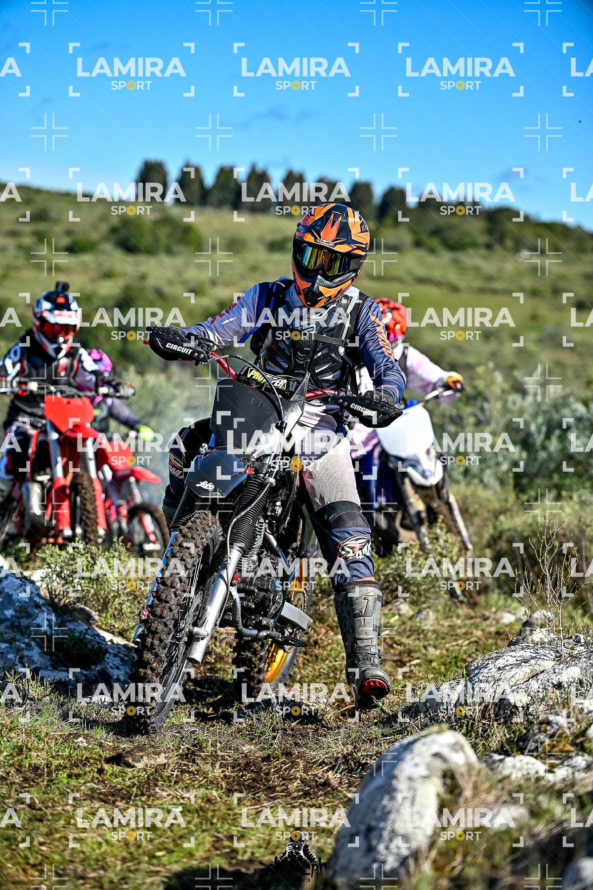 yacatrillo — BCD8034
