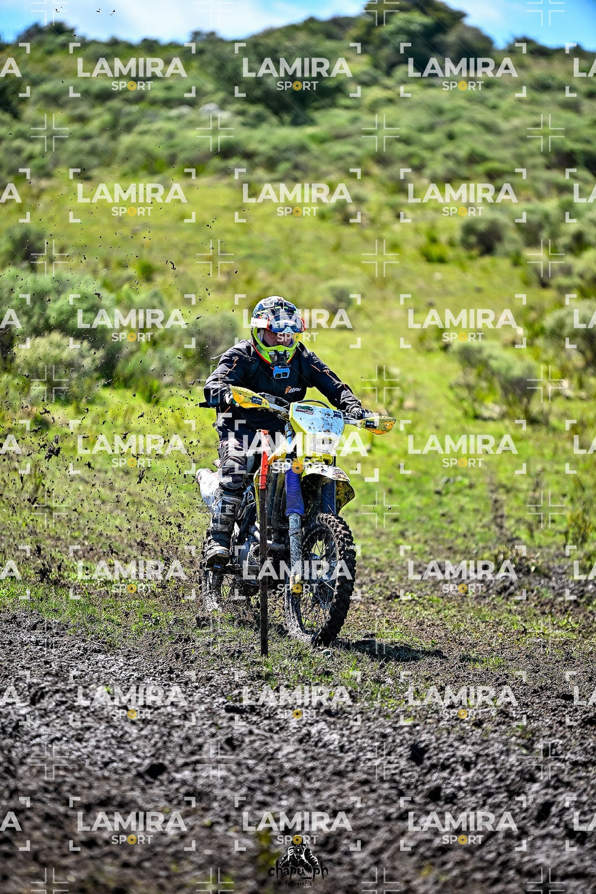 yacatrillo — BCD8516