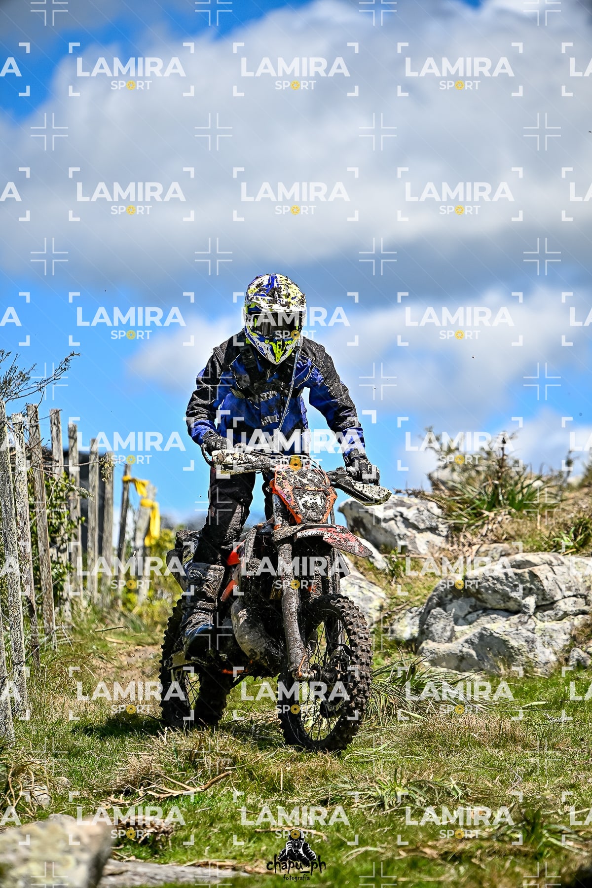 yacatrillo — BCD9842