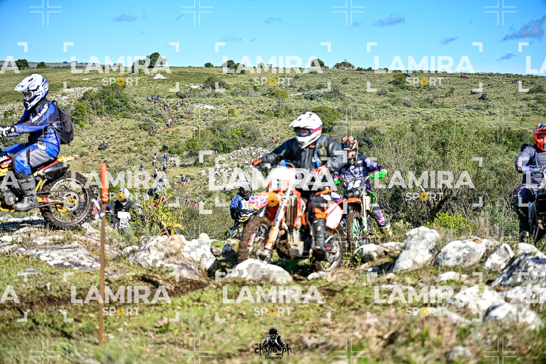 yacatrillo — BCD7831