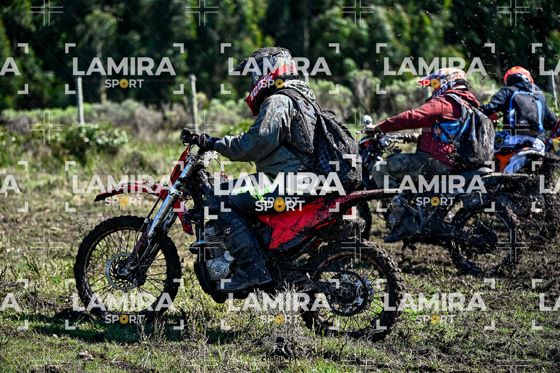 yacatrillo — BCD8451