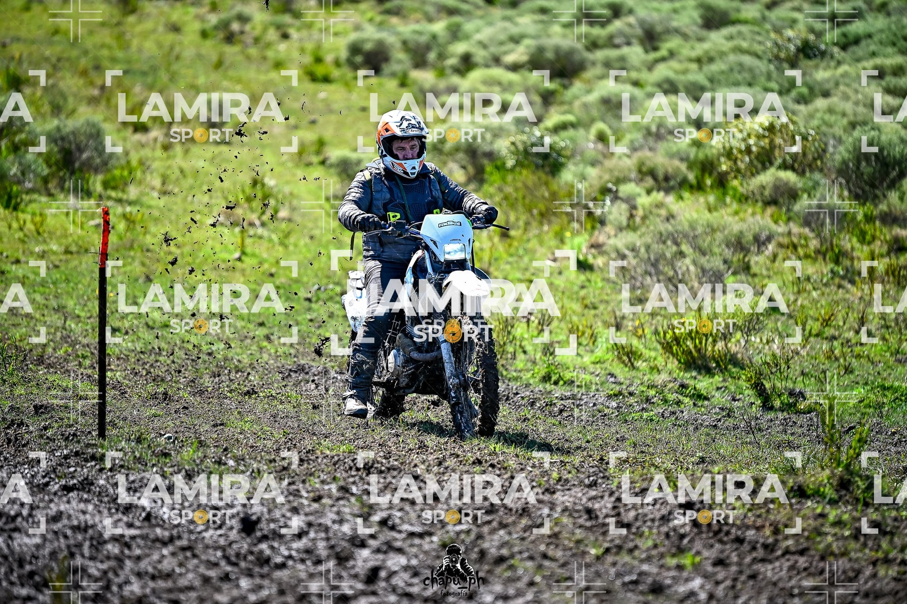 yacatrillo — BCD8541