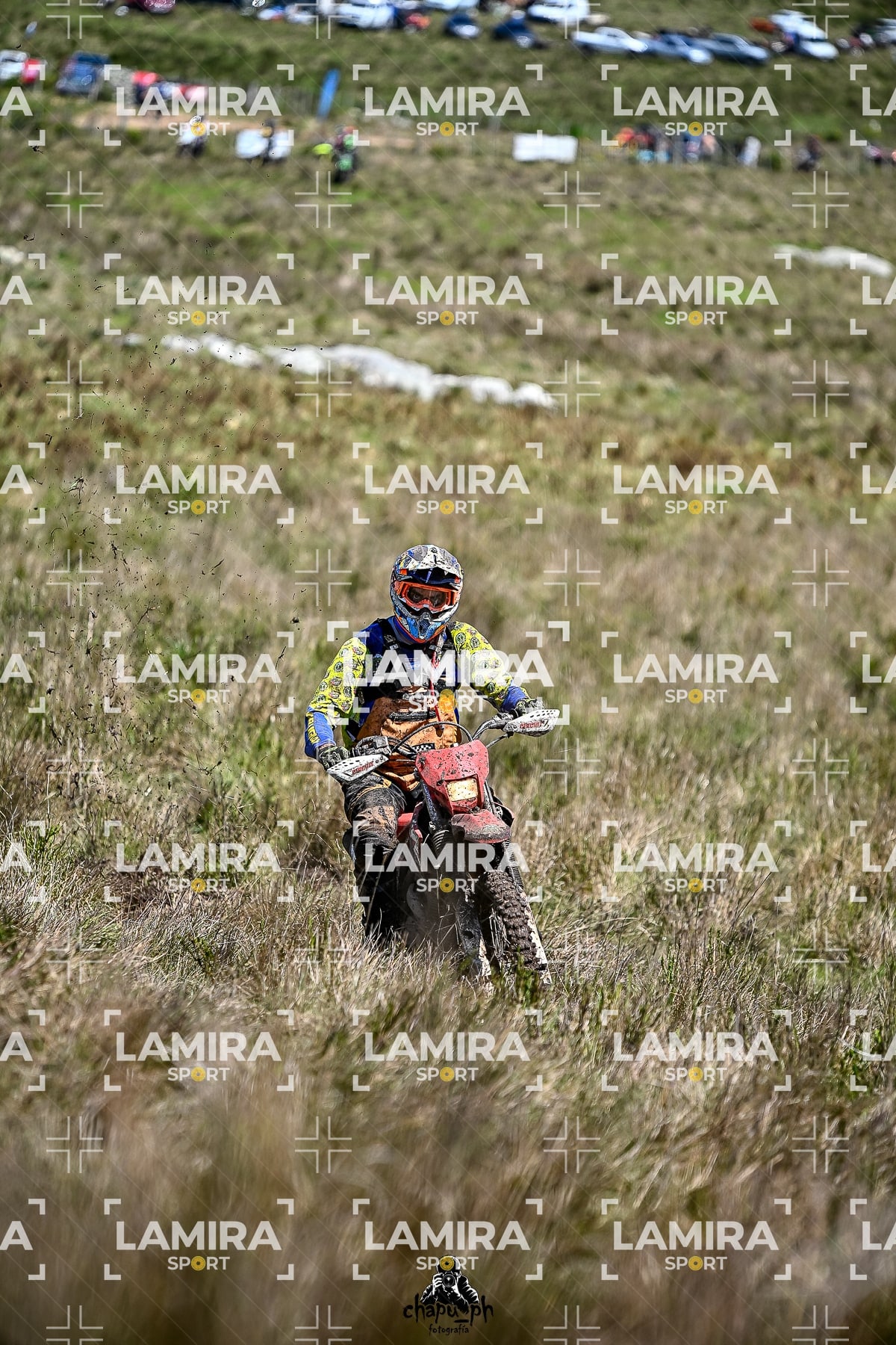 yacatrillo — BCD9566