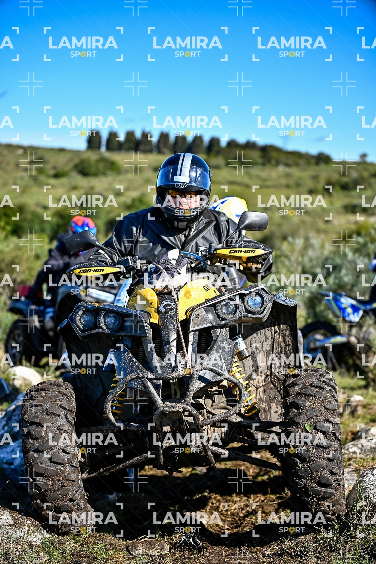 yacatrillo — BCD8321