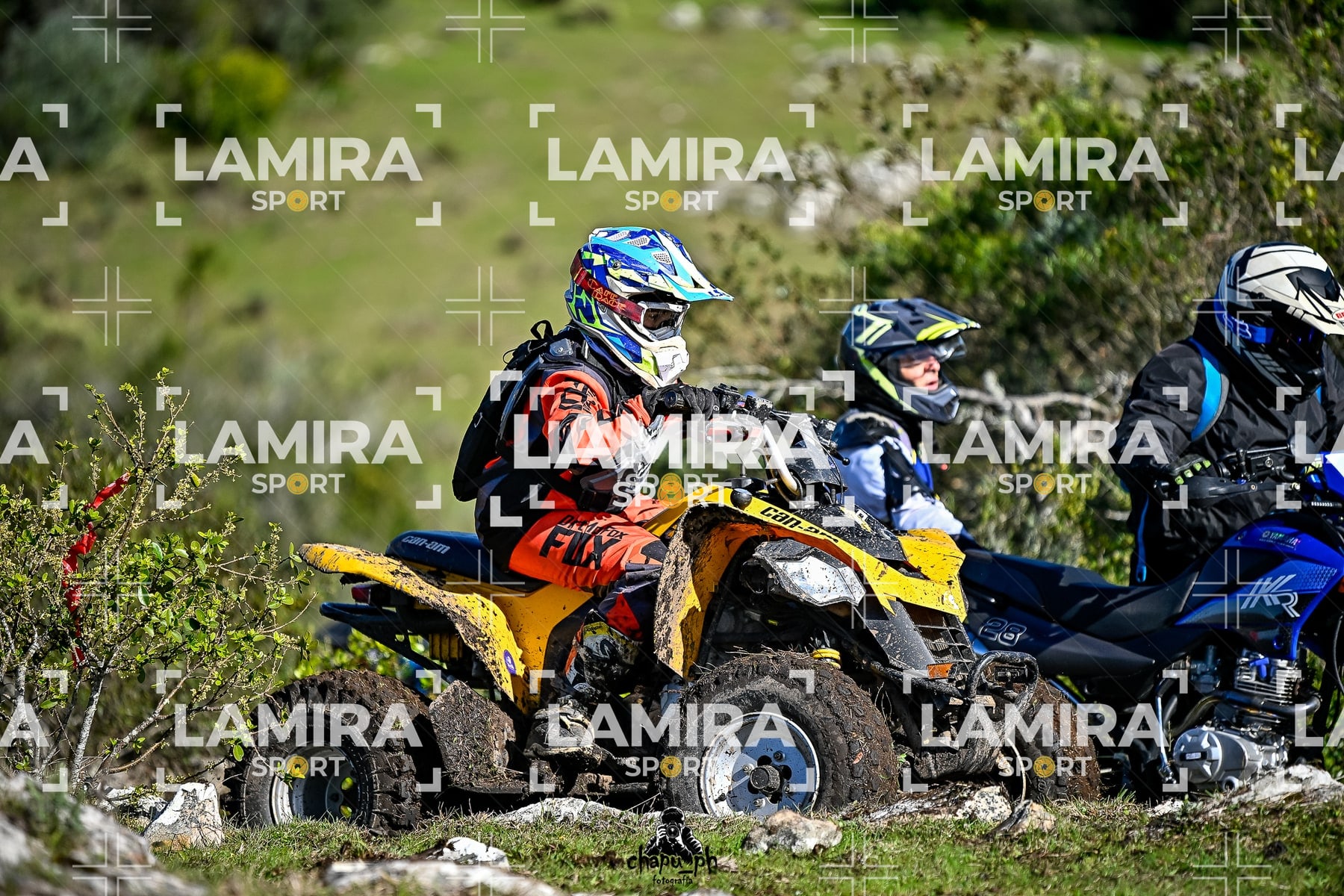 yacatrillo — BCD8279