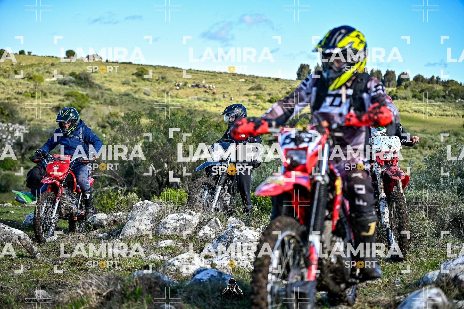 yacatrillo — BCD7731