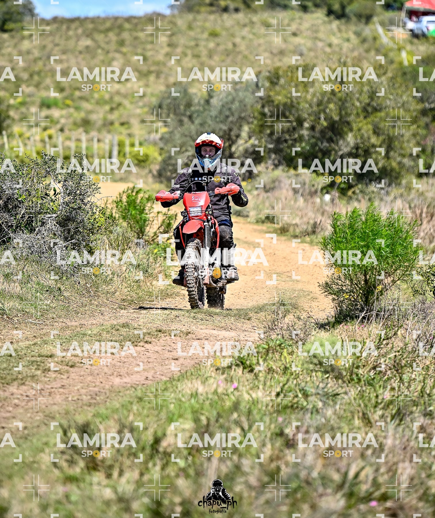 yacatrillo — BCD9366
