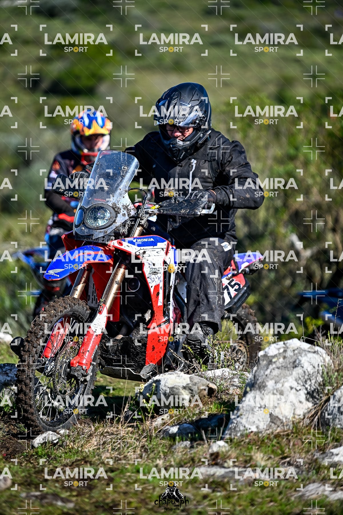 yacatrillo — BCD8072