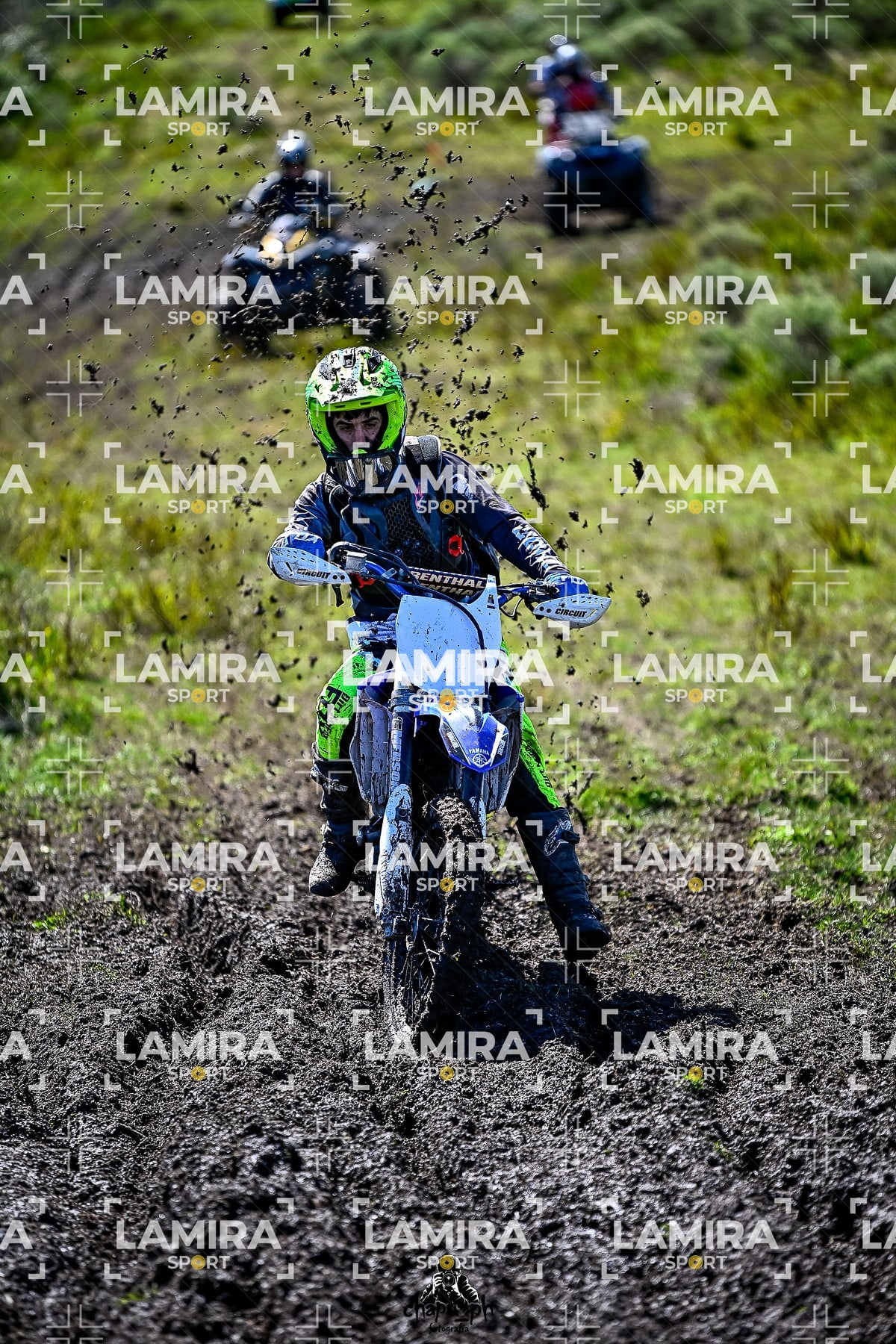 yacatrillo — BCD8475