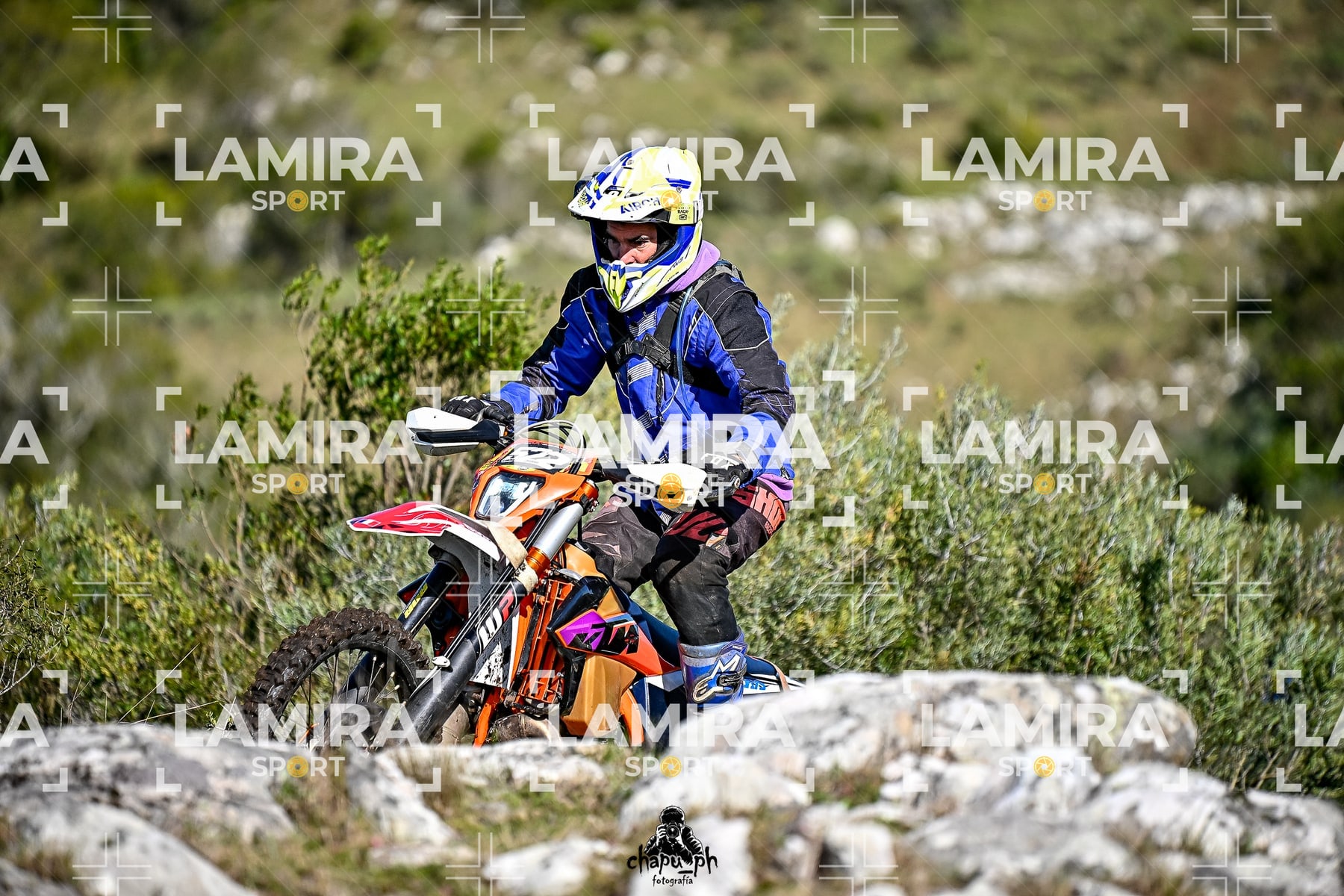 yacatrillo — BCD8251