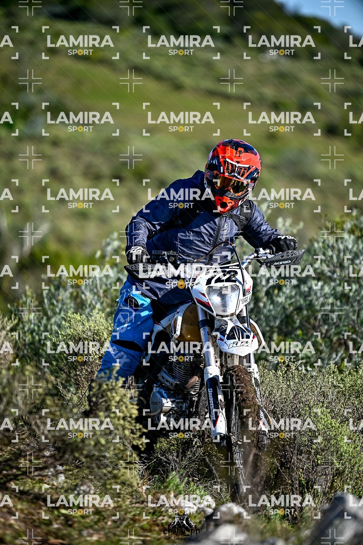 yacatrillo — BCD8105