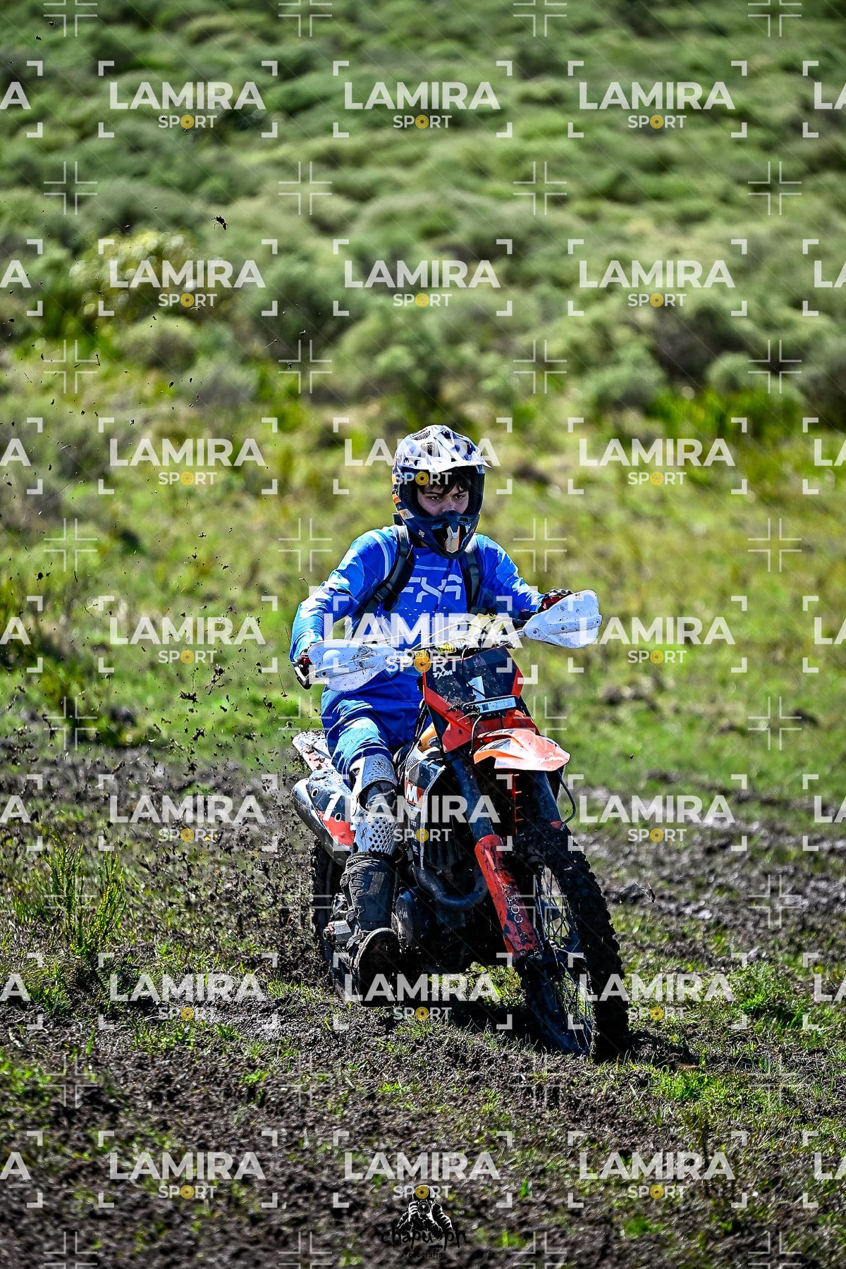 yacatrillo — BCD8501