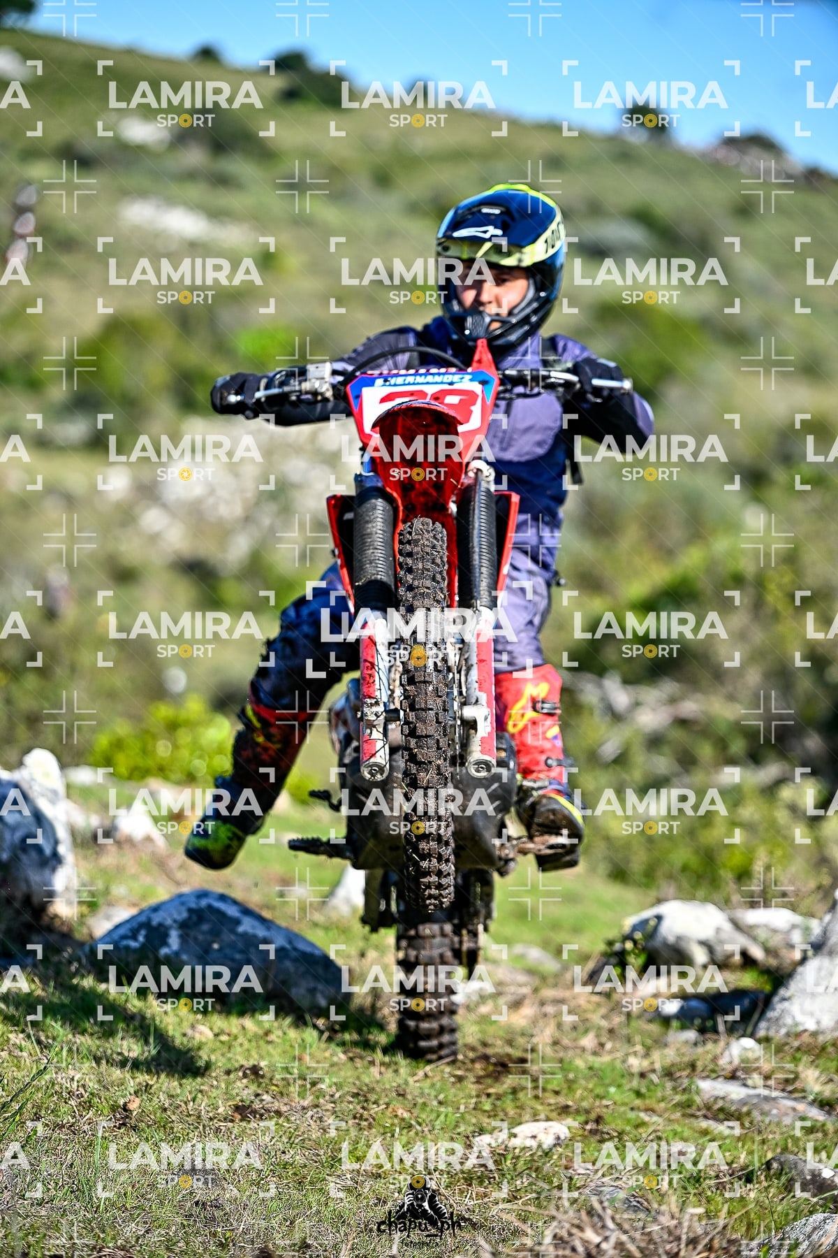 yacatrillo — BCD7436