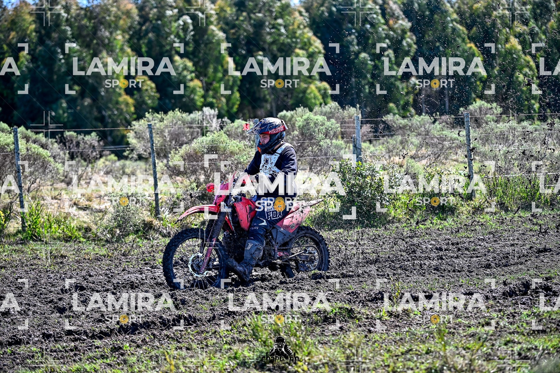 yacatrillo — BCD8408