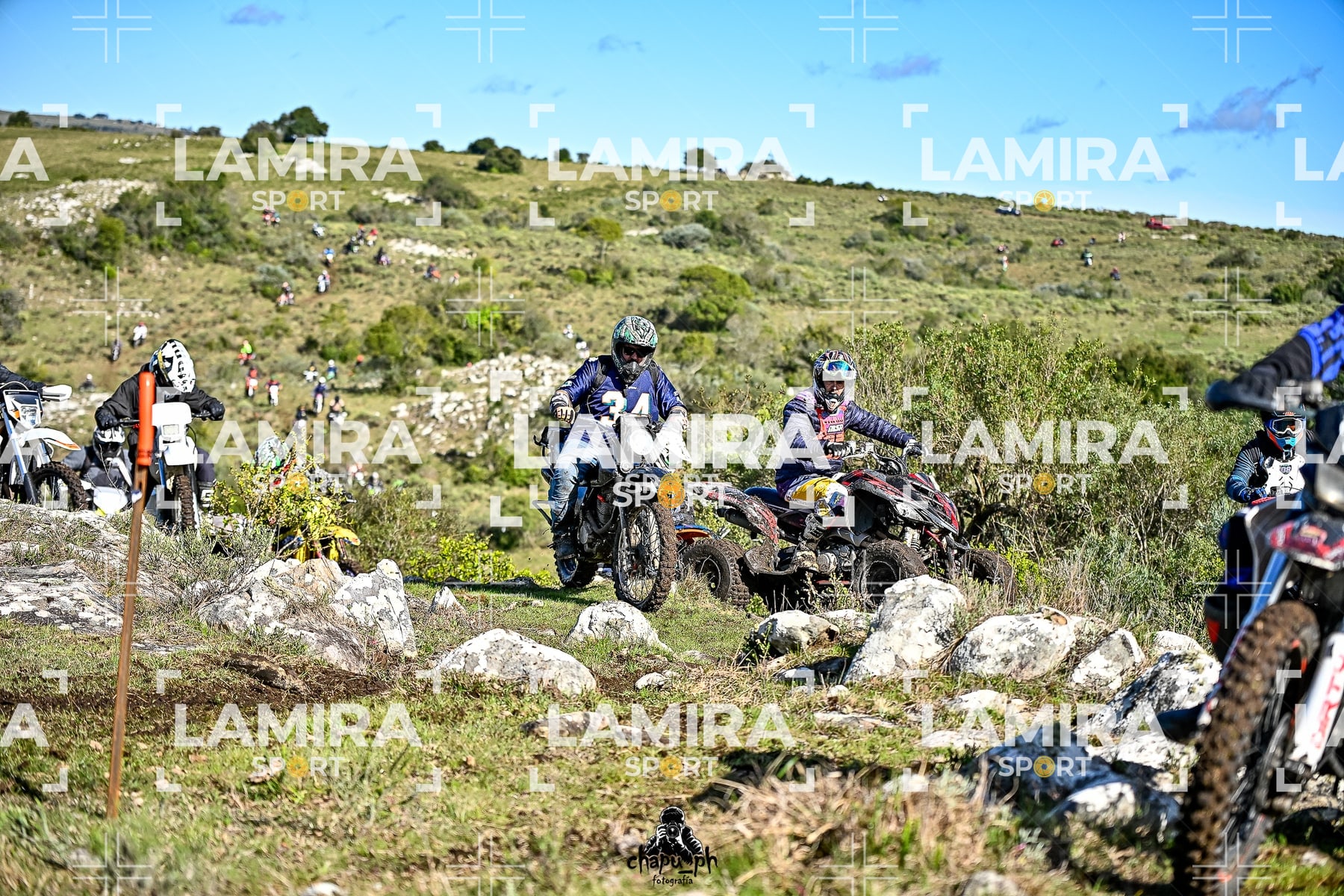 yacatrillo — BCD7851