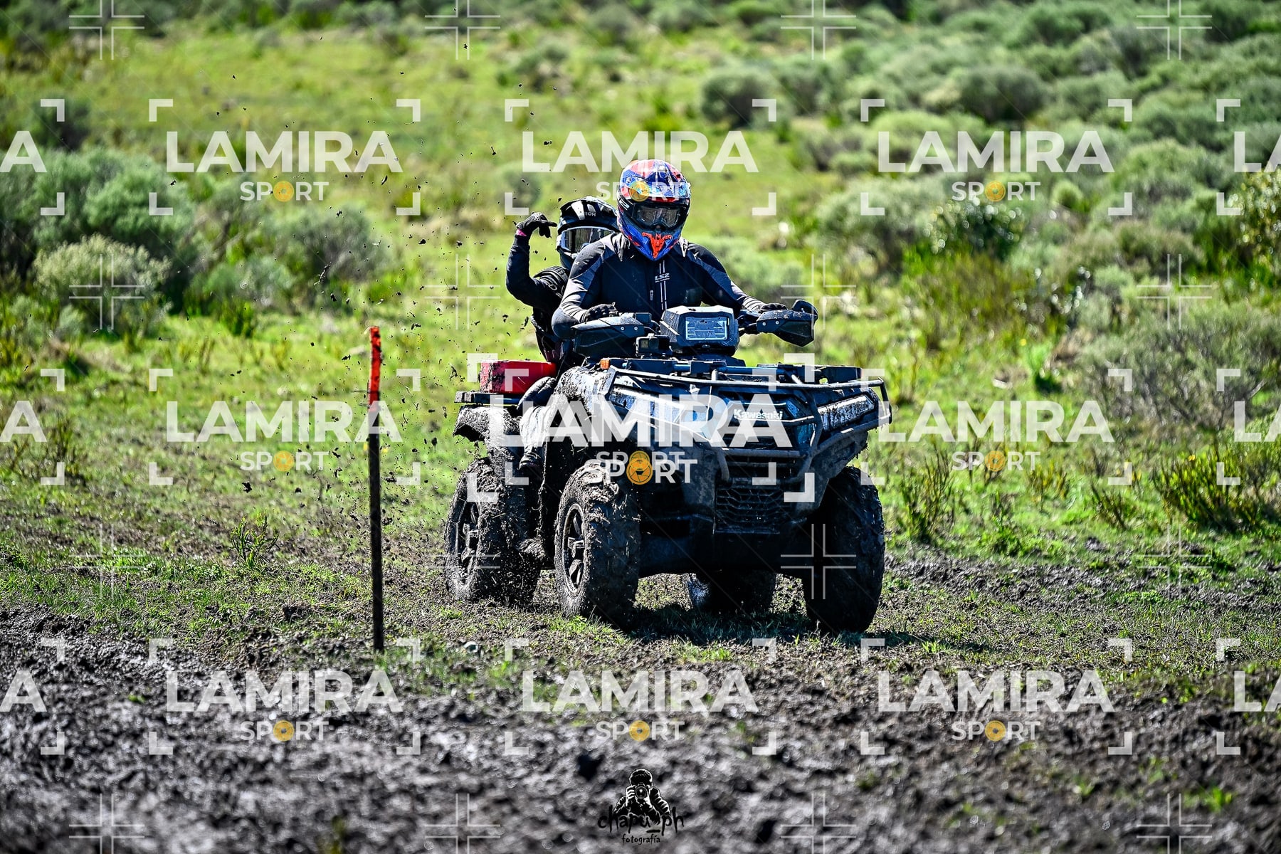 yacatrillo — BCD8561