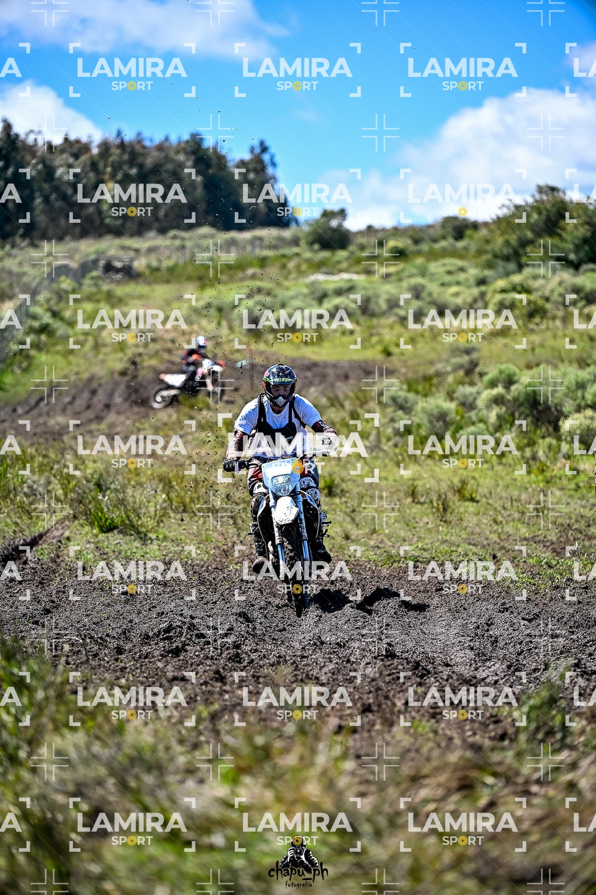 yacatrillo — BCD8964
