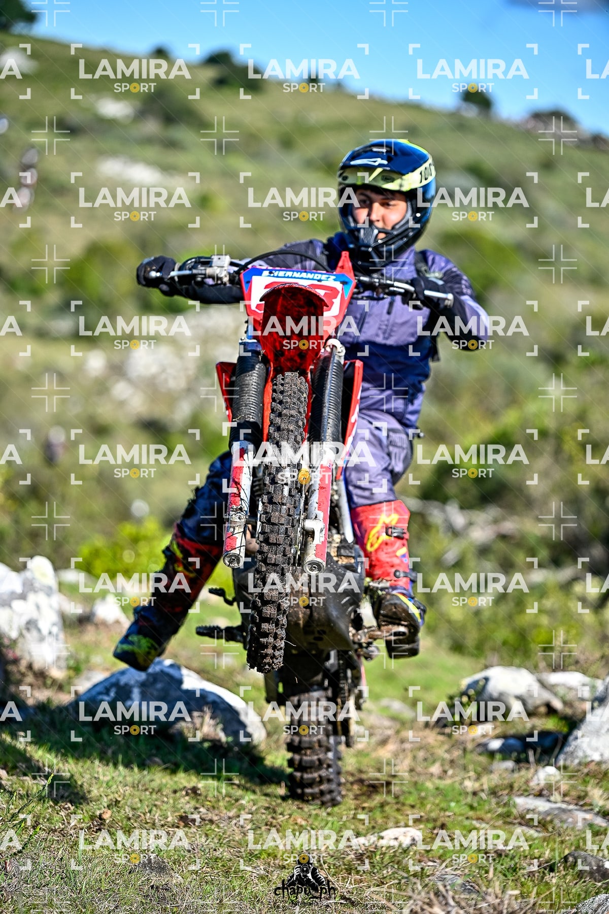 yacatrillo — BCD7438